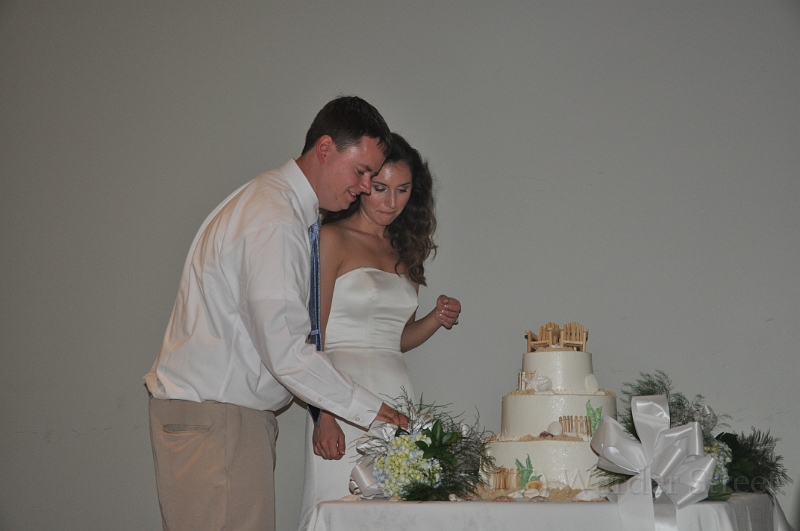 Patrick and Jen's Wedding - Cake 19.jpg